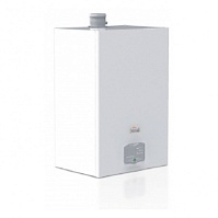 Котел газовый настенный Ferroli Force W150